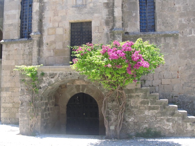 Blossom in Rhodes. 